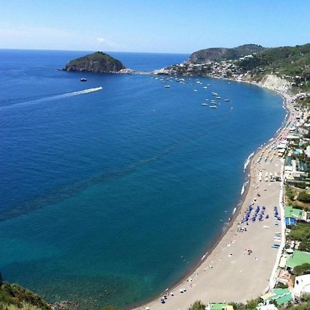 Il Pino “Villa Nunzia” Ischia Eksteriør bilde